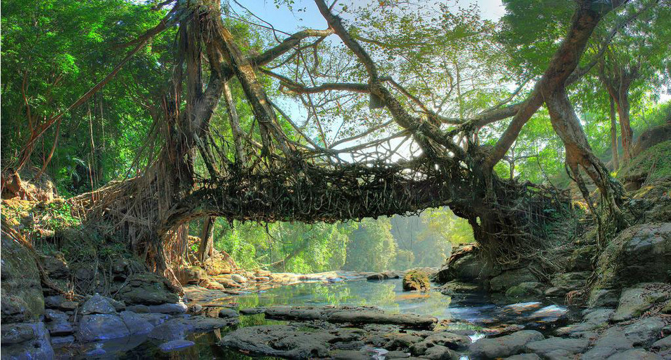 Mawlynnong: The Cleanest Village